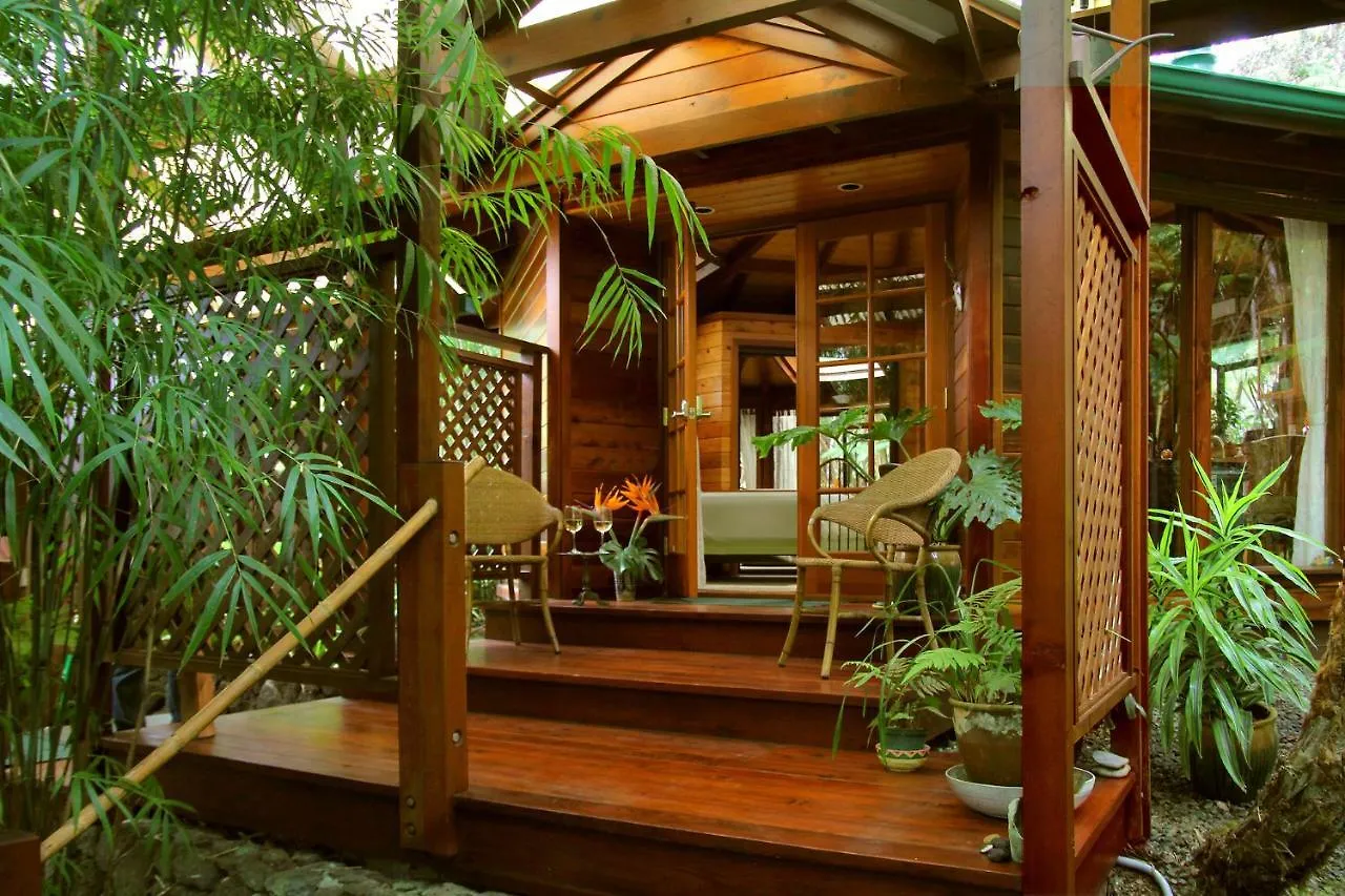 Volcano Rainforest Retreat Bed & Breakfast