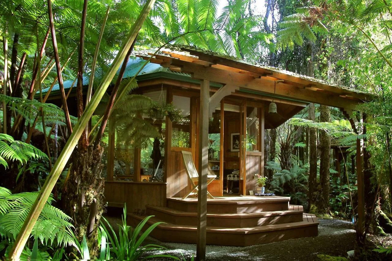 Volcano Rainforest Retreat Bed & Breakfast