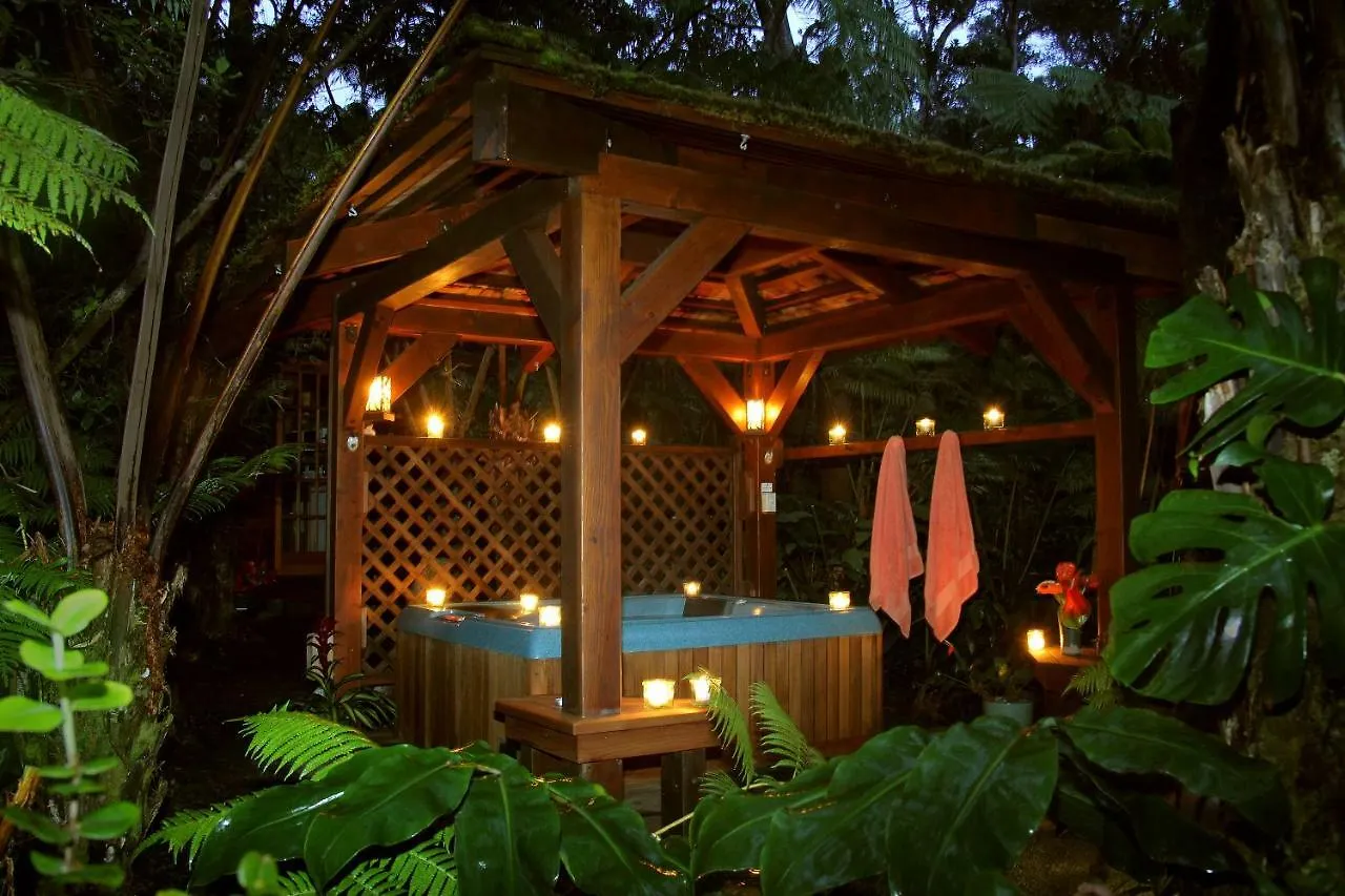 Volcano Rainforest Retreat 2*,  United States