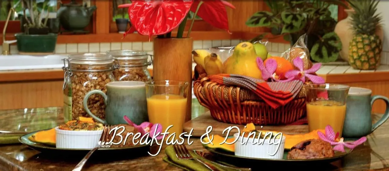 Bed & Breakfast Volcano Rainforest Retreat